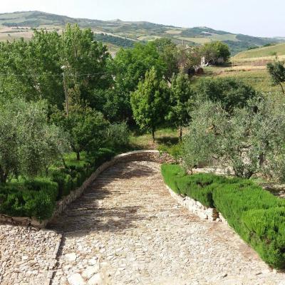 Viale di accesso