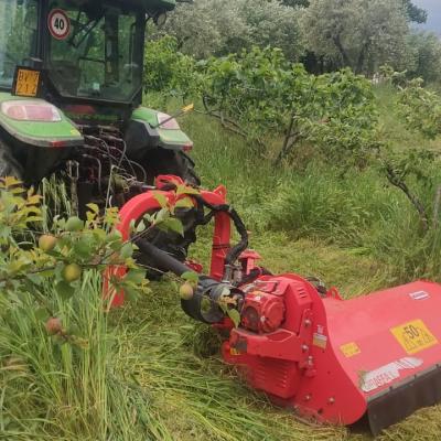 Lavorazioni frutteto